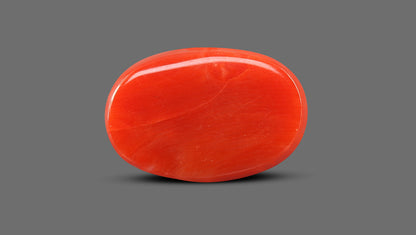 Italian Red Coral 11.70 Carats / 12.86 Ratti
