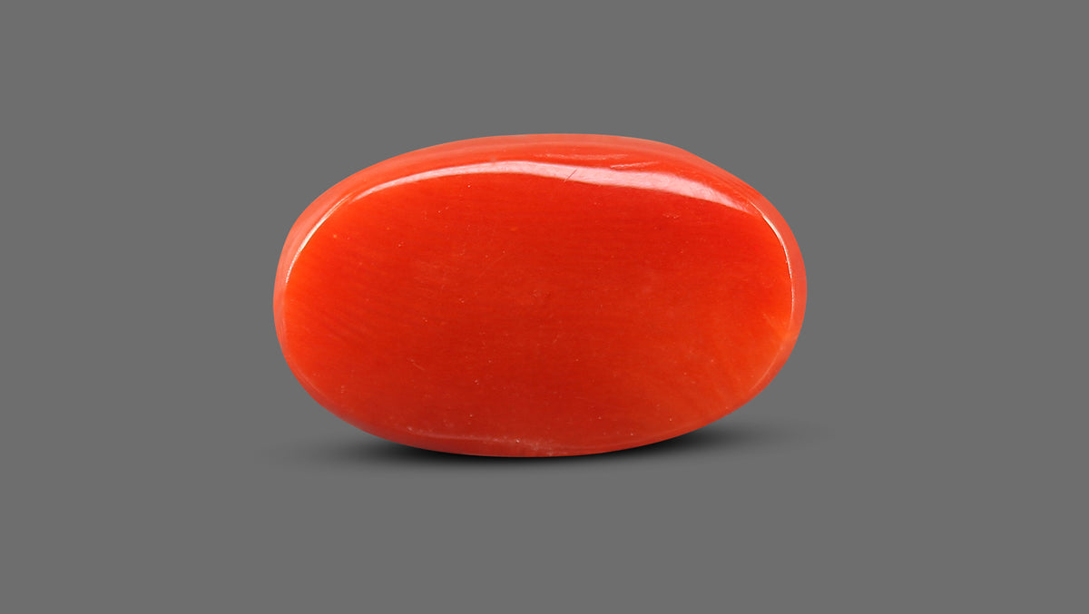 Italian Red Coral 10.93 Carats / 12.01 Ratti