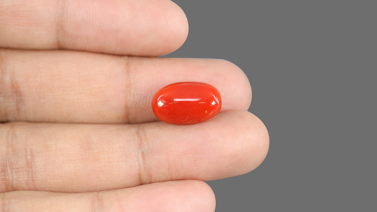 Italian Red Coral 10.93 Carats / 12.01 Ratti