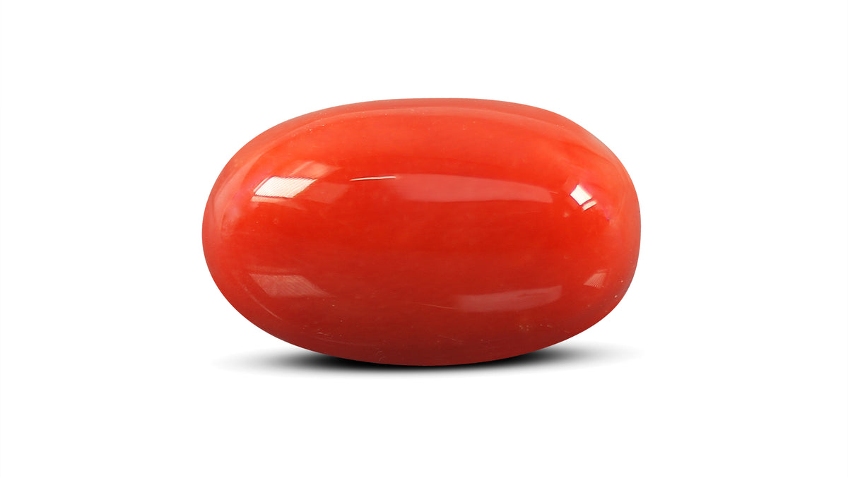 Italian Red Coral 10.93 Carats / 12.01 Ratti