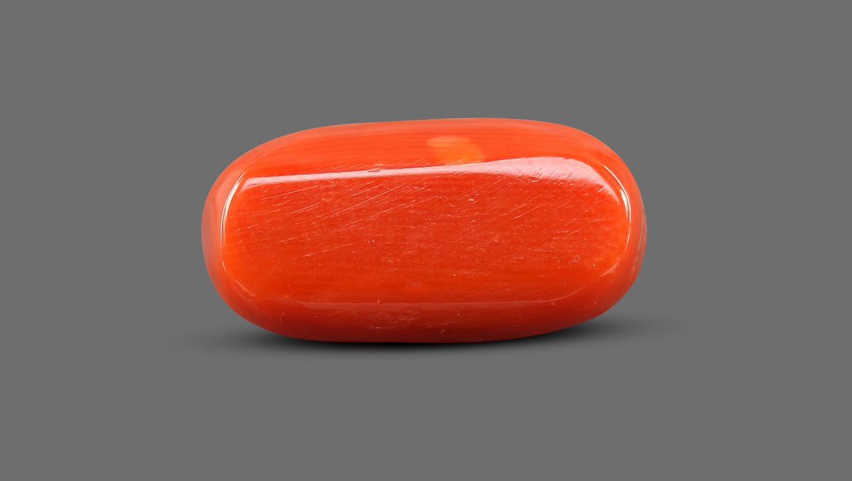 Italian Red Coral 11.38 Carats / 12.51 Ratti