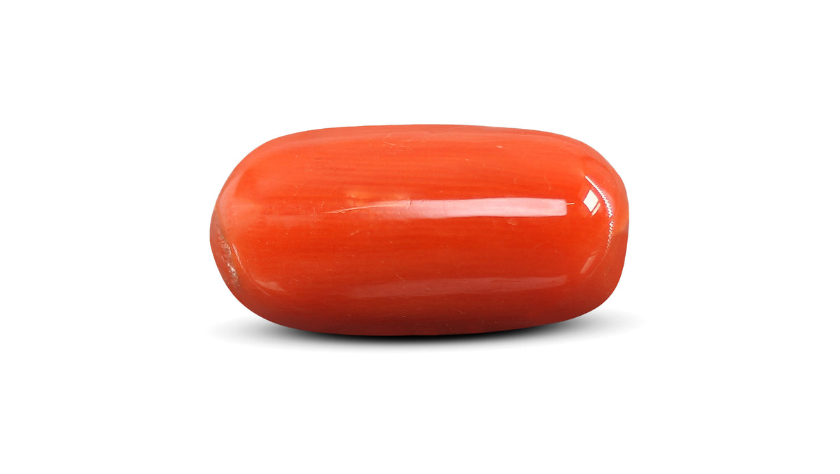 Italian Red Coral 11.38 Carats / 12.51 Ratti