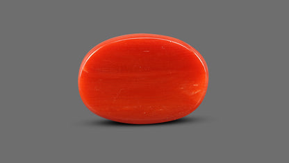 Italian Red Coral 12.20 Carats / 13.41 Ratti