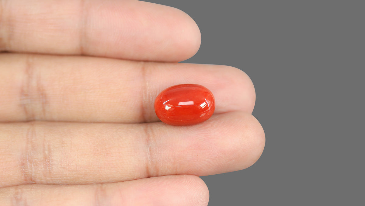 Italian Red Coral 12.20 Carats / 13.41 Ratti