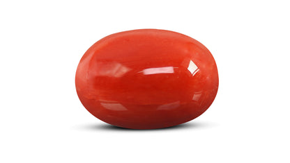 Italian Red Coral 12.20 Carats / 13.41 Ratti