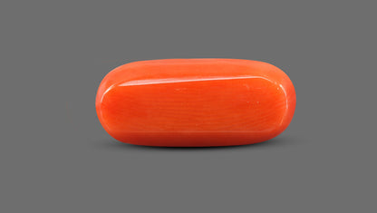 Italian Red Coral 12.02 Carats / 13.21 Ratti