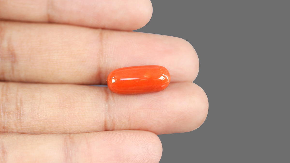 Italian Red Coral 12.02 Carats / 13.21 Ratti