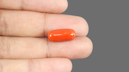 Italian Red Coral 12.02 Carats / 13.21 Ratti