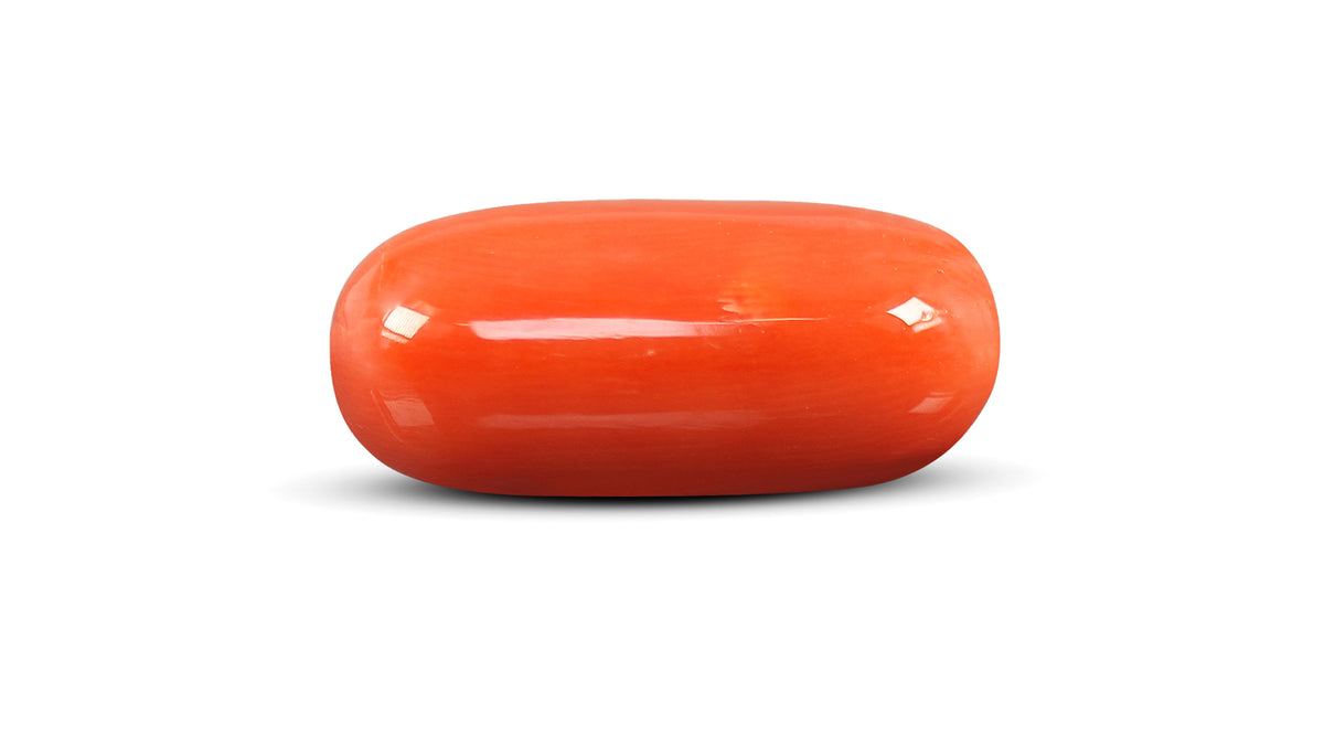 Italian Red Coral 12.02 Carats / 13.21 Ratti