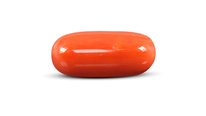 Italian Red Coral 12.02 Carats / 13.21 Ratti