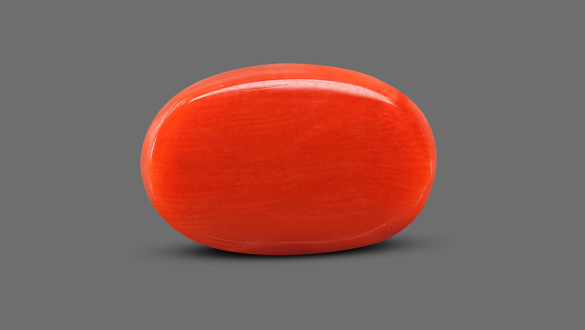 Italian Red Coral 11.93 Carats / 13.11 Ratti