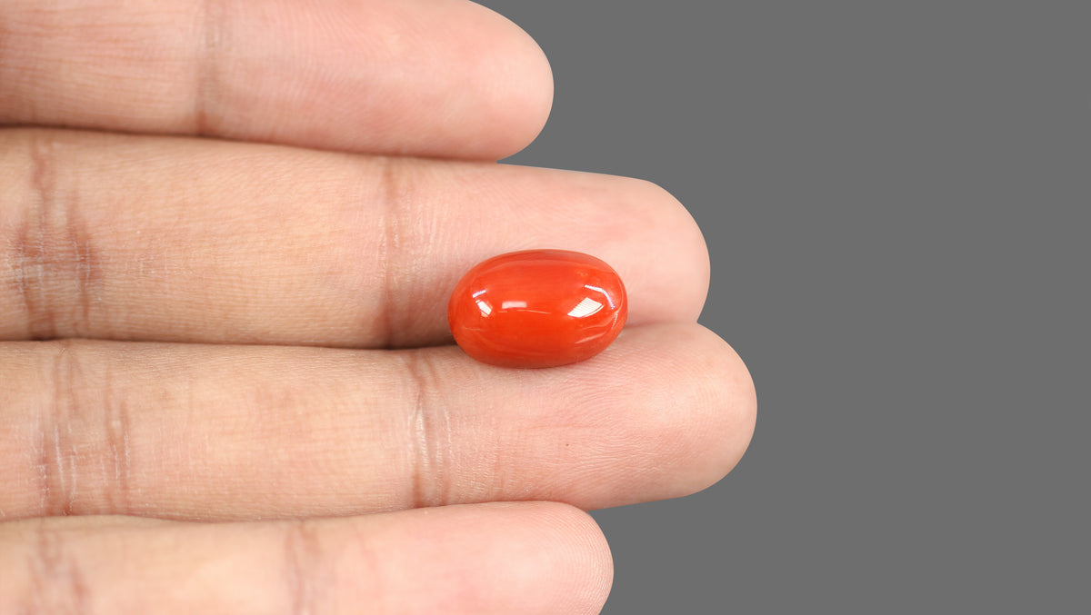 Italian Red Coral 11.93 Carats / 13.11 Ratti