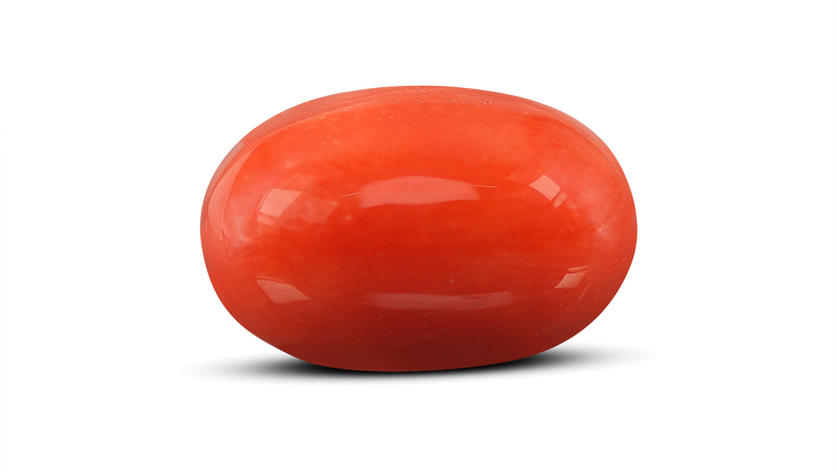 Italian Red Coral 11.93 Carats / 13.11 Ratti