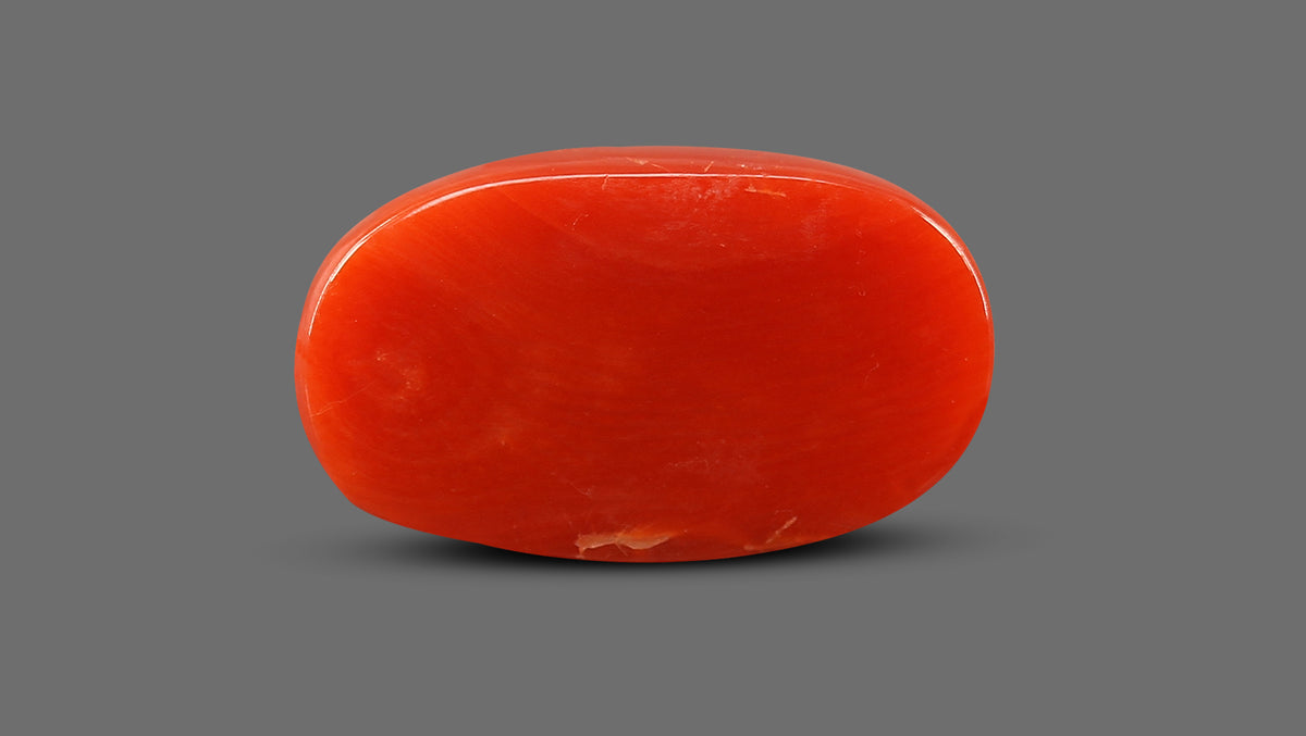 Italian Red Coral 13.20 Carats / 14.51 Ratti