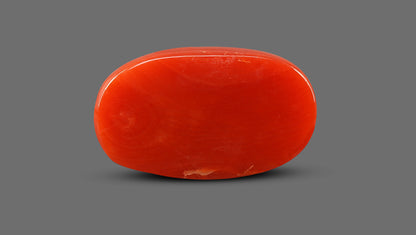 Italian Red Coral 13.20 Carats / 14.51 Ratti