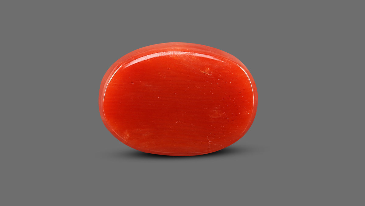 Italian Red Coral 12.80 Carats / 14.07 Ratti