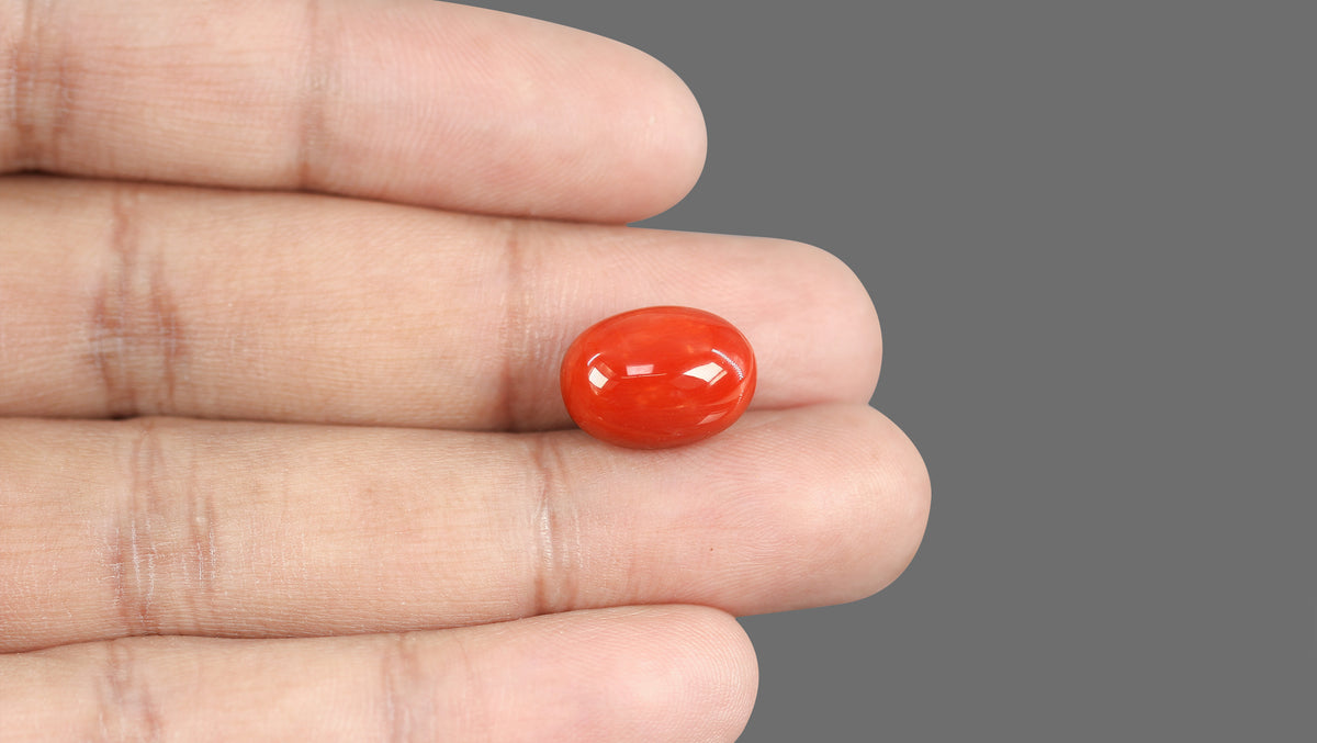 Italian Red Coral 12.80 Carats / 14.07 Ratti