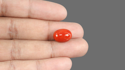 Italian Red Coral 12.80 Carats / 14.07 Ratti