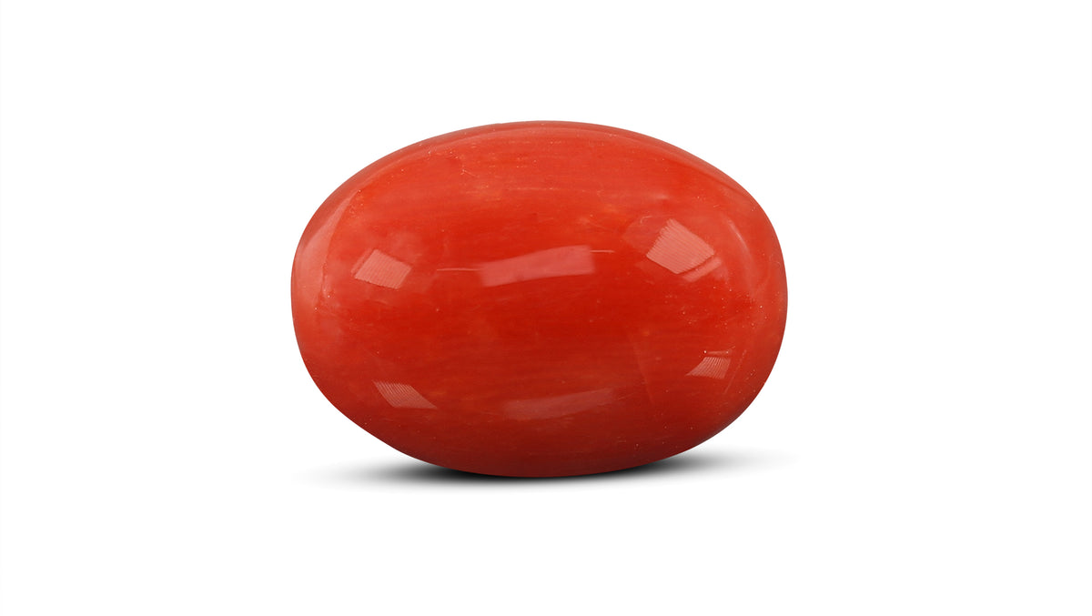 Italian Red Coral 12.80 Carats / 14.07 Ratti