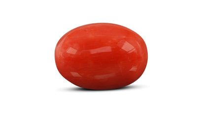 Italian Red Coral 12.80 Carats / 14.07 Ratti