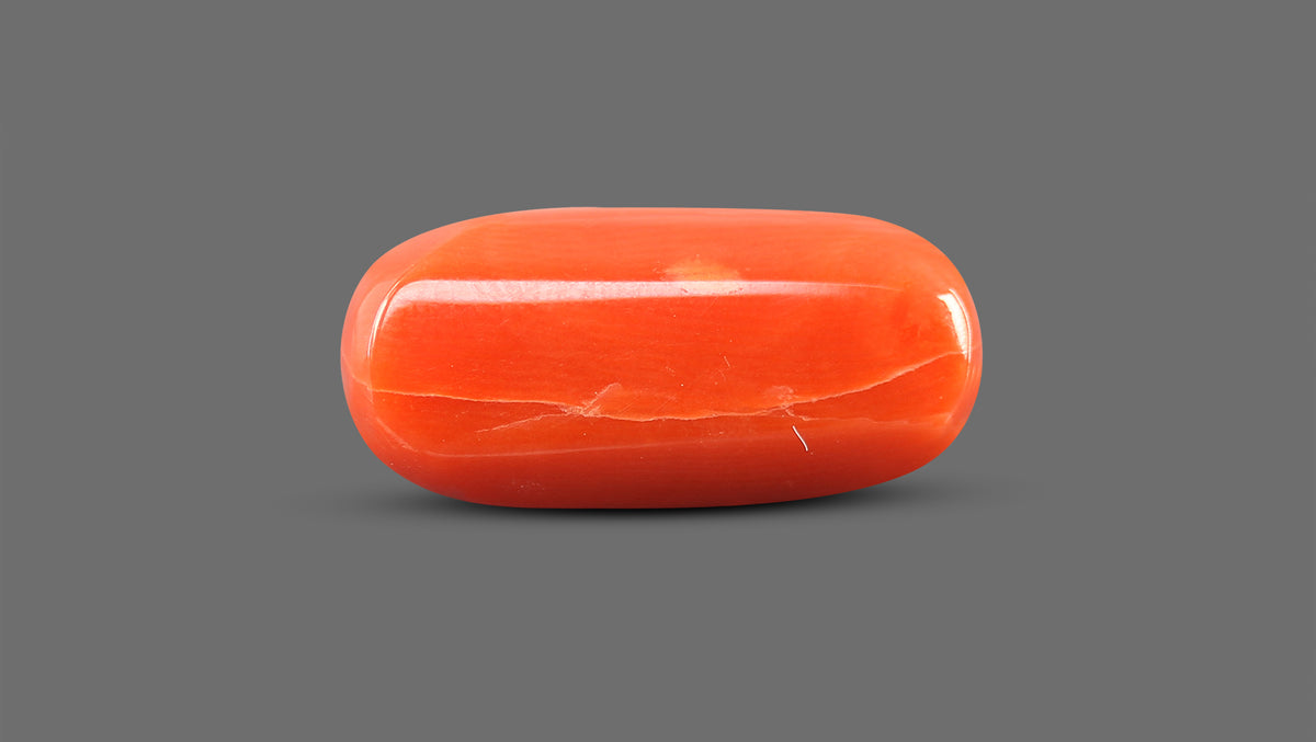 Italian Red Coral 12.36 Carats / 13.58 Ratti