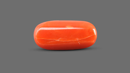 Italian Red Coral 12.36 Carats / 13.58 Ratti