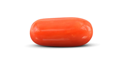 Italian Red Coral 12.36 Carats / 13.58 Ratti