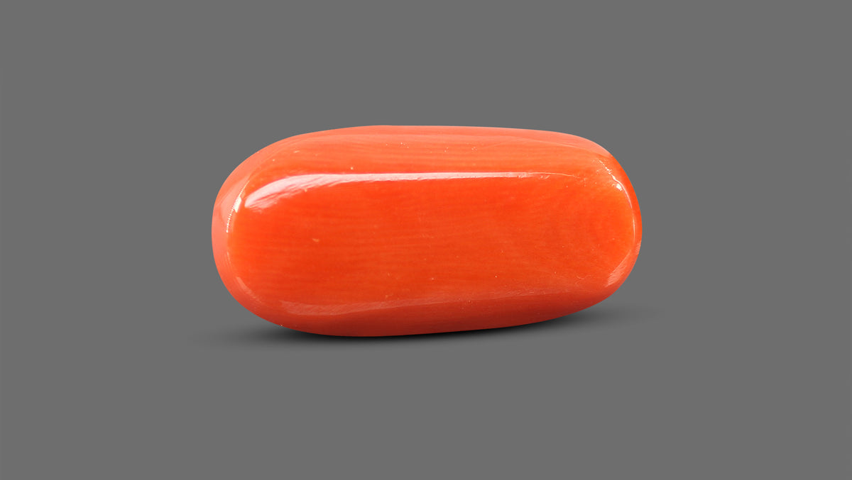 Italian Red Coral 14.96 Carats / 16.44 Ratti