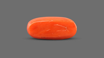 Italian Red Coral 13.34 Carats / 14.66 Ratti