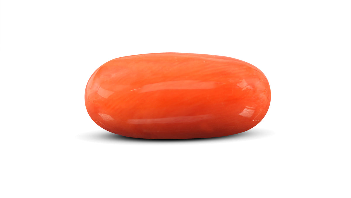 Italian Red Coral 13.34 Carats / 14.66 Ratti
