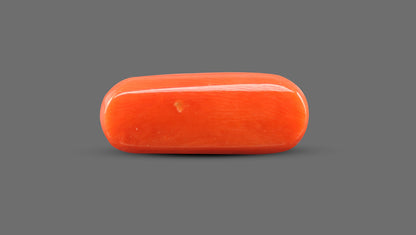 Italian Red Coral 15.22 Carats / 16.73 Ratti