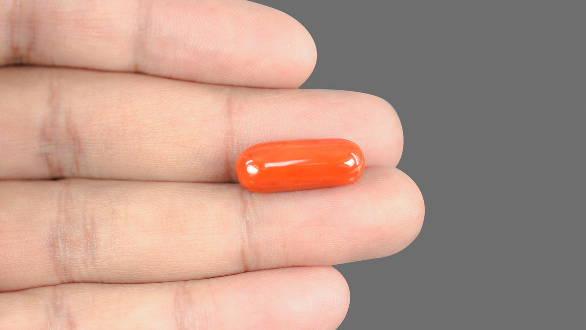 Italian Red Coral 15.22 Carats / 16.73 Ratti