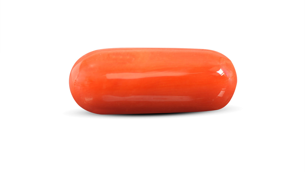 Italian Red Coral 15.22 Carats / 16.73 Ratti
