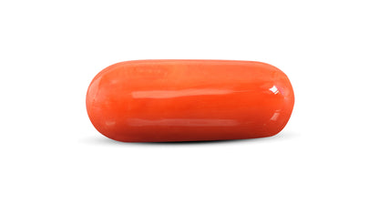 Italian Red Coral 15.22 Carats / 16.73 Ratti