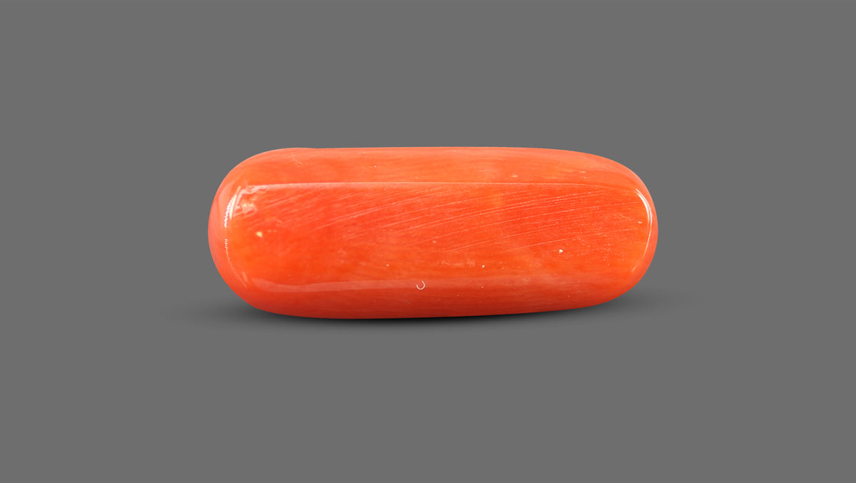 Italian Red Coral 8.89 Carats / 9.77 Ratti