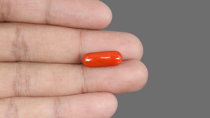 Italian Red Coral 8.89 Carats / 9.77 Ratti