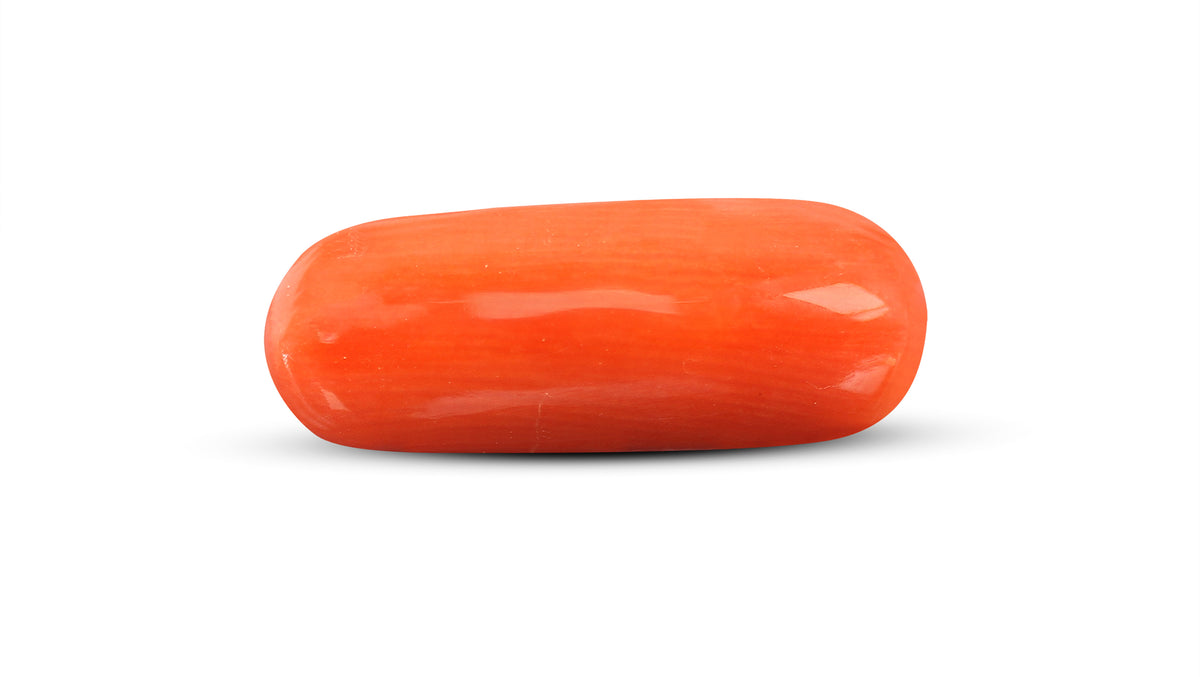 Italian Red Coral 8.89 Carats / 9.77 Ratti