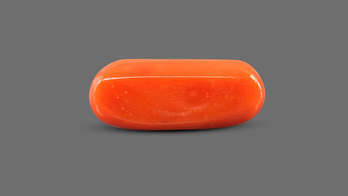 Italian Red Coral 8.92 Carats / 9.8 Ratti