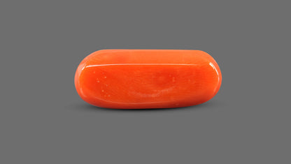 Italian Red Coral 8.92 Carats / 9.8 Ratti