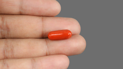Italian Red Coral 8.92 Carats / 9.8 Ratti
