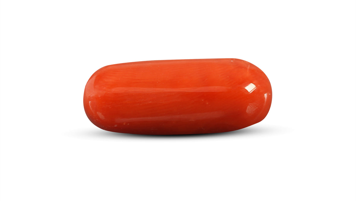 Italian Red Coral 8.92 Carats / 9.8 Ratti