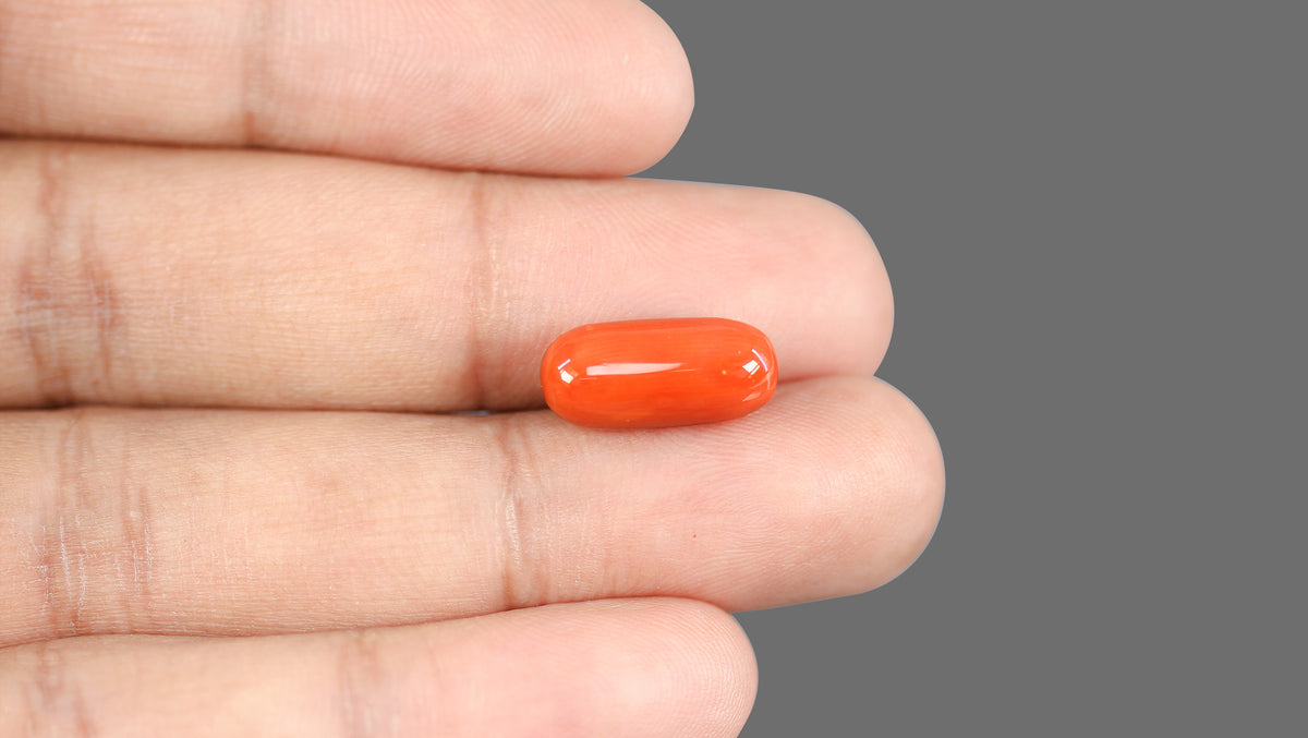 Italian Red Coral 8.76 Carats / 9.63 Ratti