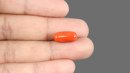 Italian Red Coral 8.76 Carats / 9.63 Ratti