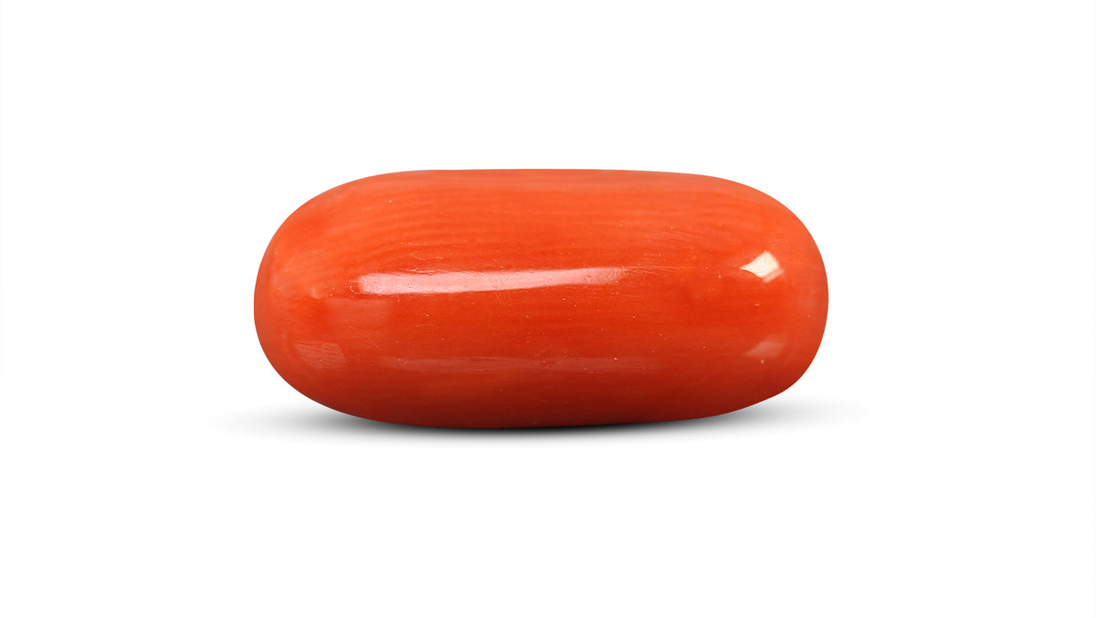 Italian Red Coral 8.76 Carats / 9.63 Ratti