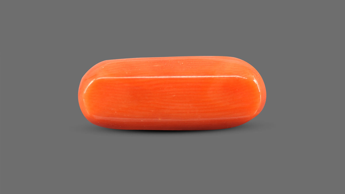 Italian Red Coral 8.85 Carats / 9.73 Ratti