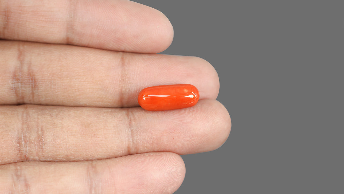 Italian Red Coral 8.85 Carats / 9.73 Ratti