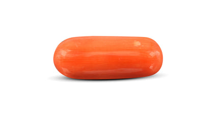 Italian Red Coral 8.85 Carats / 9.73 Ratti
