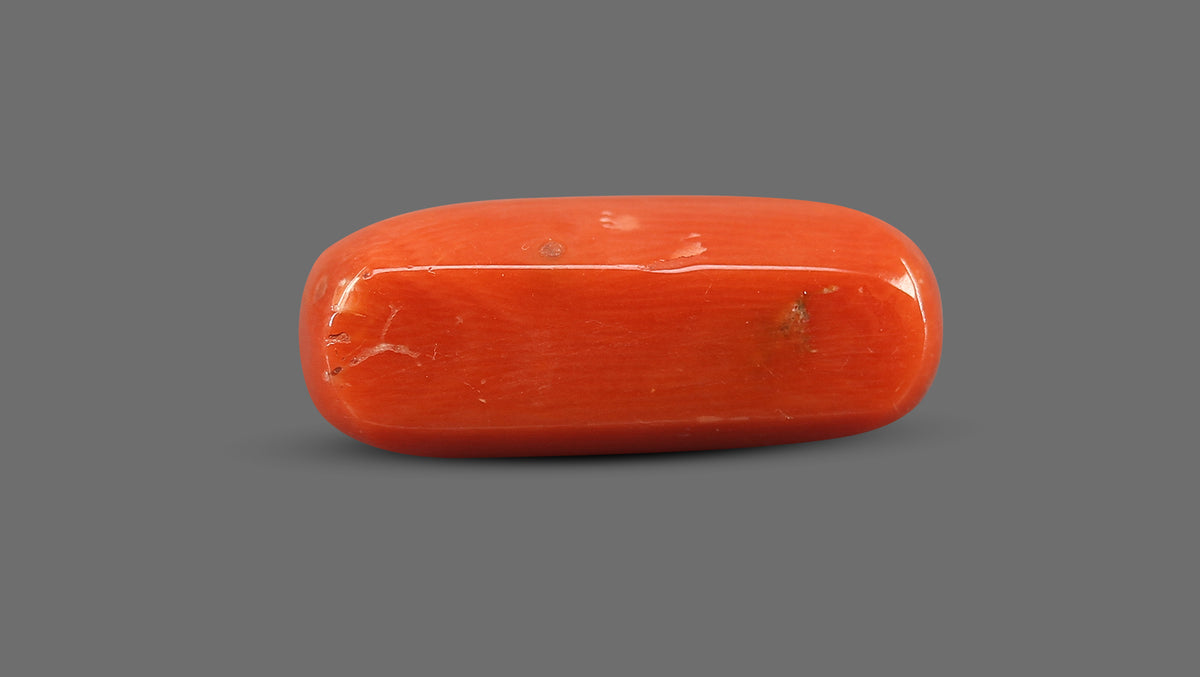 Italian Red Coral 8.63 Carats / 9.48 Ratti