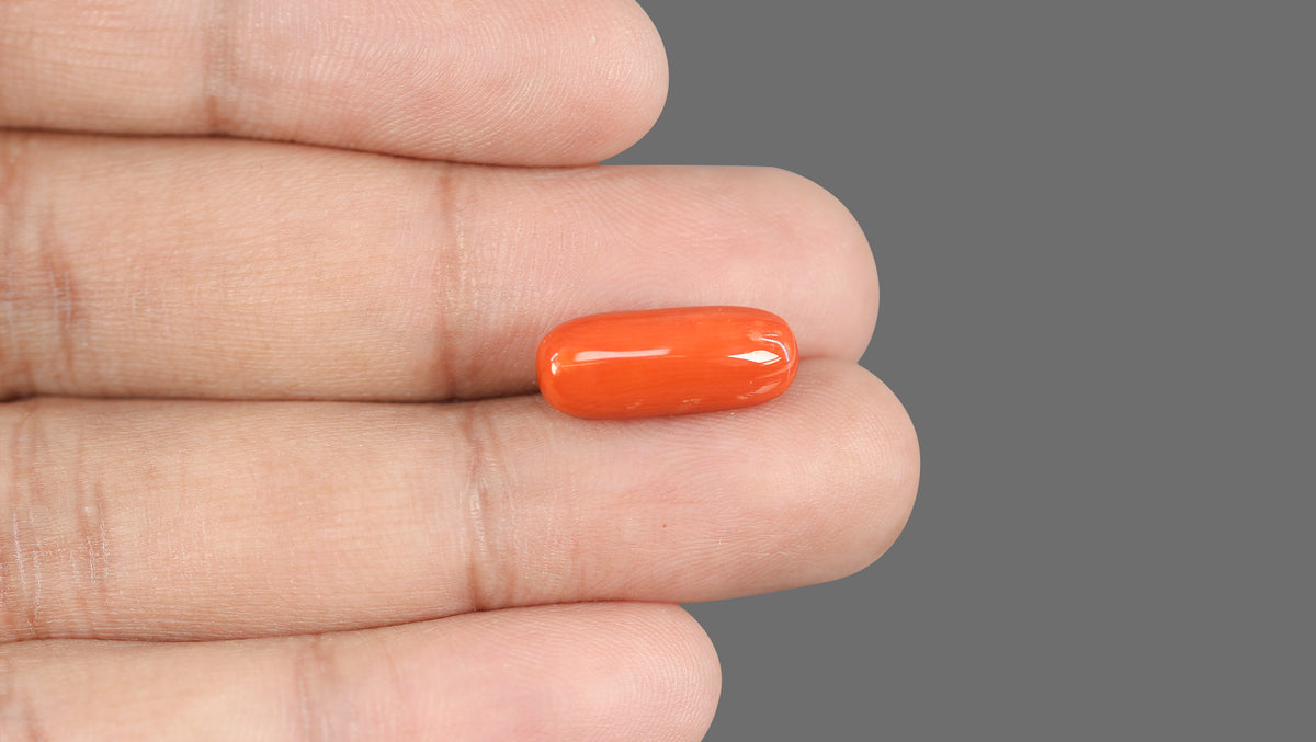 Italian Red Coral 8.63 Carats / 9.48 Ratti