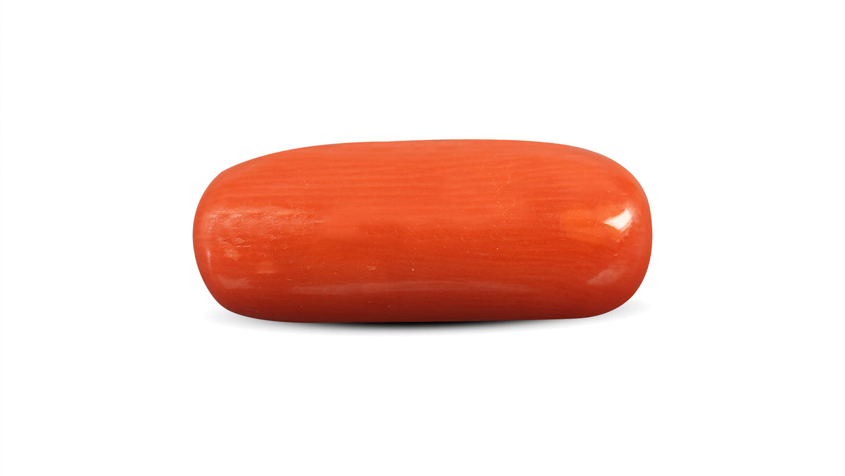 Italian Red Coral 8.63 Carats / 9.48 Ratti